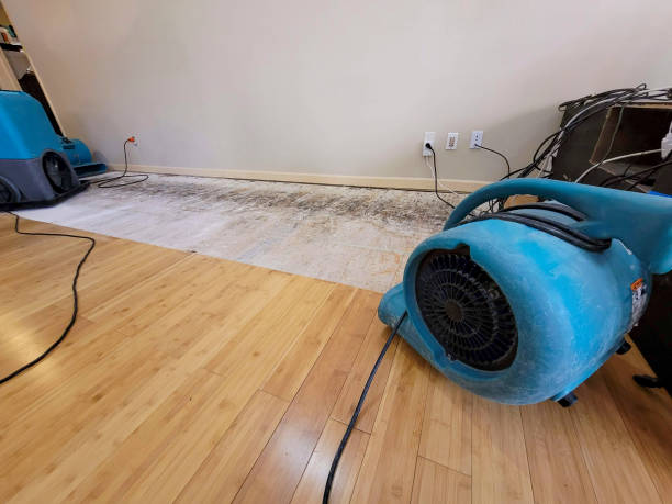 Professional Water Extraction technician working in Bellflower, MO